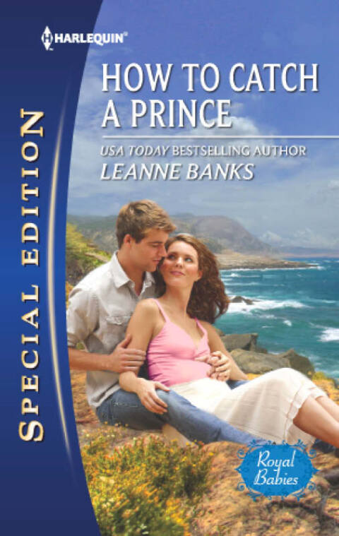 Cover image for book How to Catch a Prince