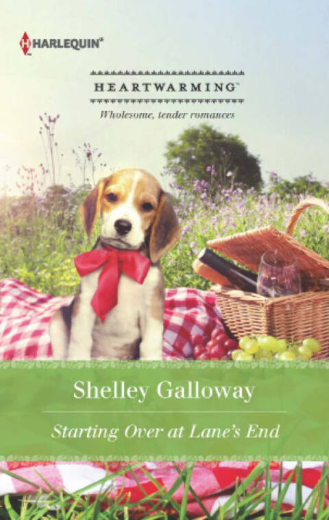 Cover image for book Starting Over at Lane's End