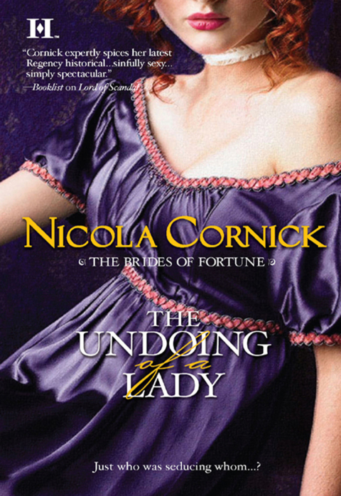 Cover image for book The Undoing of a Lady