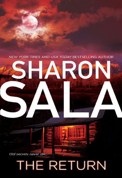 Cover image for book THE RETURN