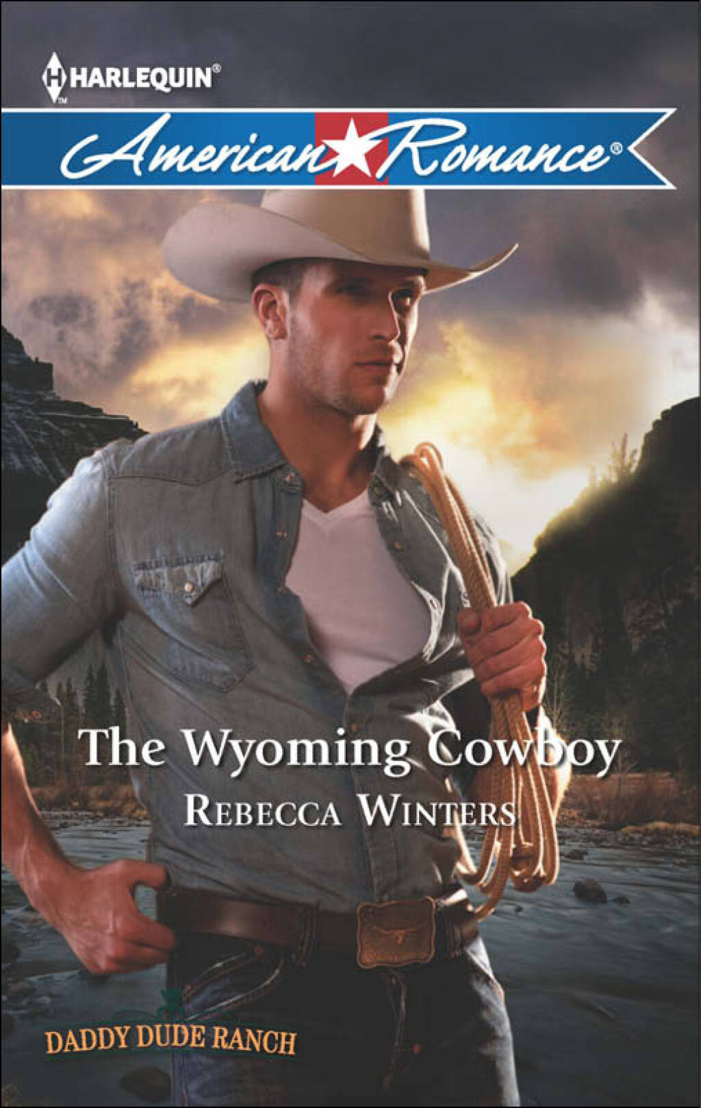 Reflowable The Wyoming Cowboy; $4.43