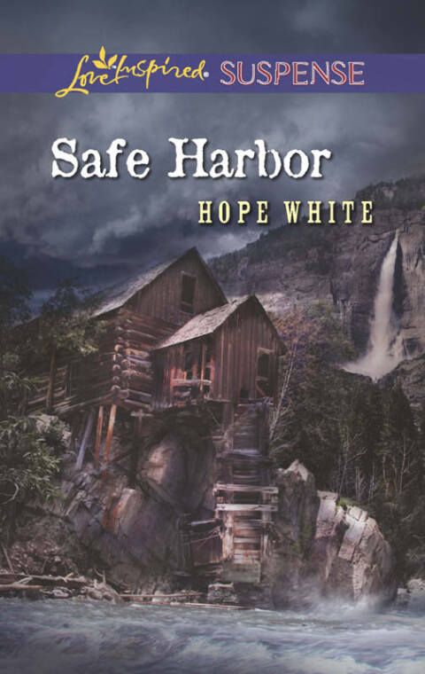 Cover image for book Safe Harbor