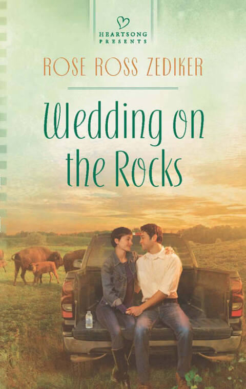 Cover image for book Wedding on the Rocks