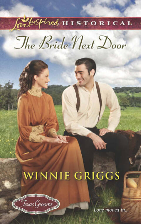 Cover image for book The Bride Next Door
