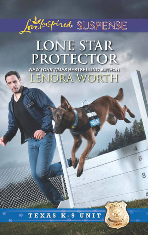 Cover image for book Lone Star Protector