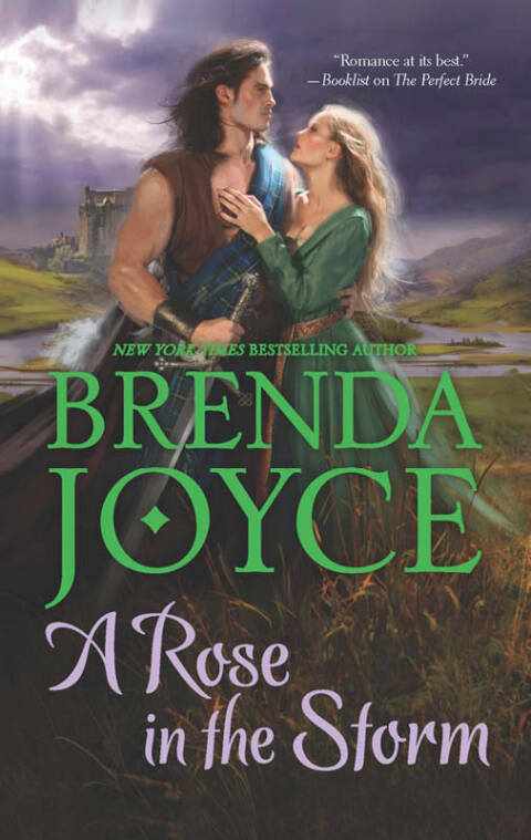 Cover image for book A Rose in the Storm