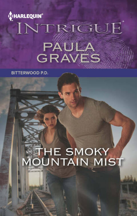 Cover image for book The Smoky Mountain Mist