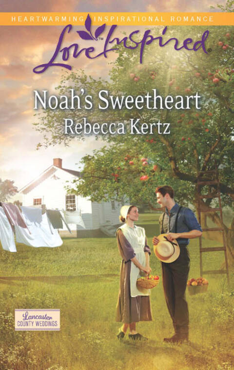 Cover image for book Noah's Sweetheart