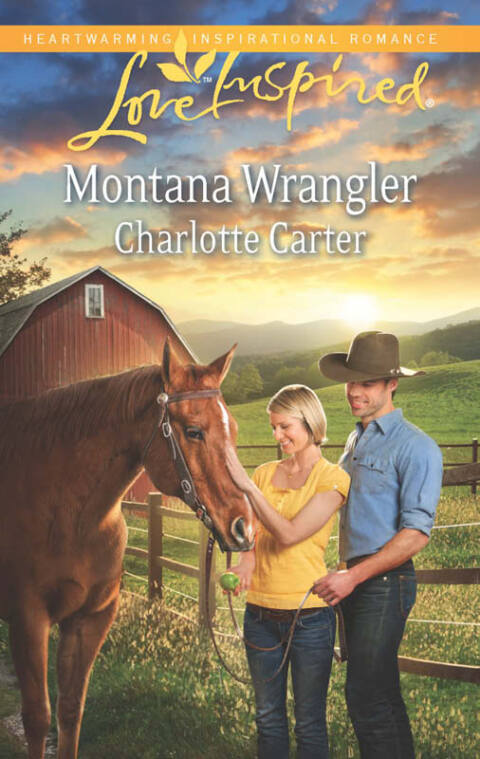 Cover image for book Montana Wrangler