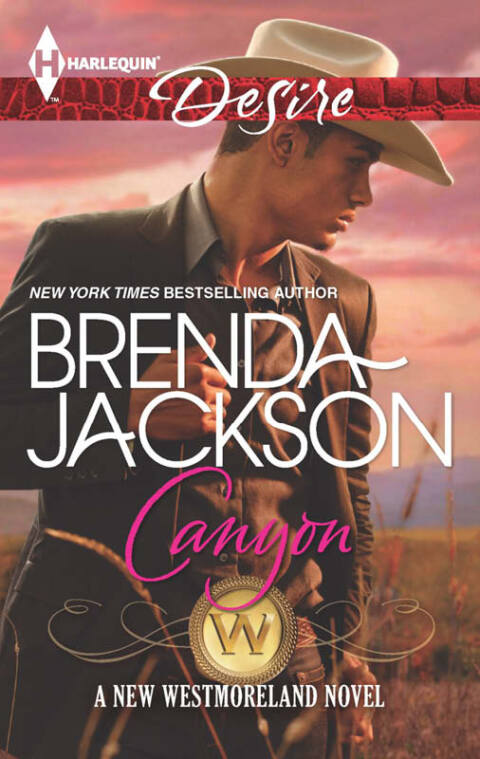 Cover image for book Canyon