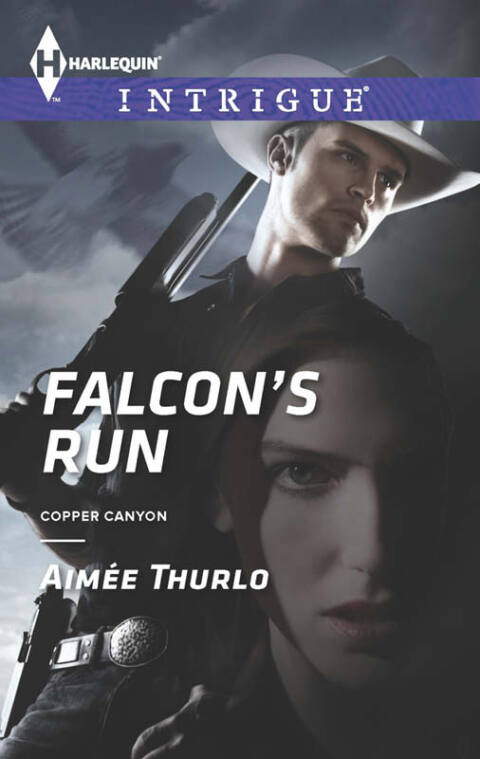 Cover image for book Falcon's Run