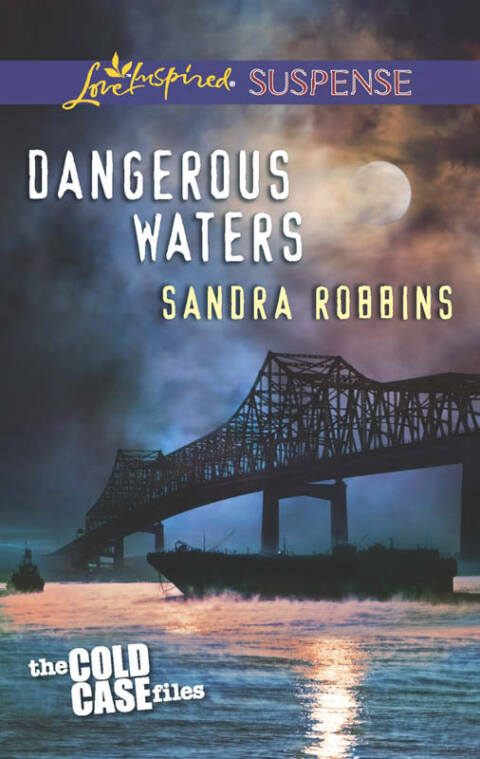 Cover image for book Dangerous Waters