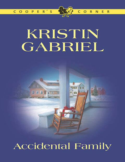 Cover image for book ACCIDENTAL FAMILY