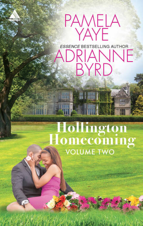 Cover image for book Hollington Homecoming, Volume Two