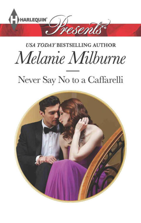 Cover image for book Never Say No to a Caffarelli