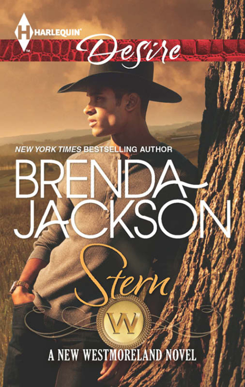 Cover image for book Stern