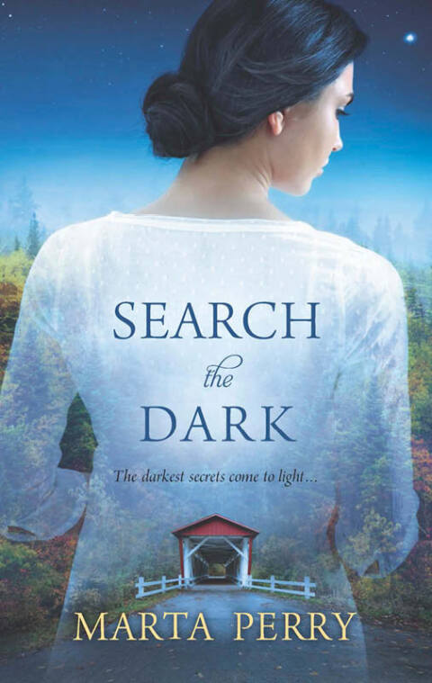 Cover image for book Search the Dark