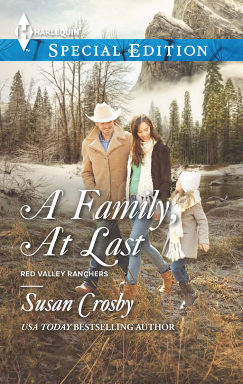 Cover image for book A Family, At Last