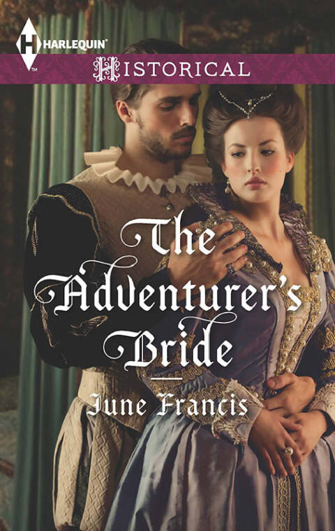 Cover image for book The Adventurer's Bride