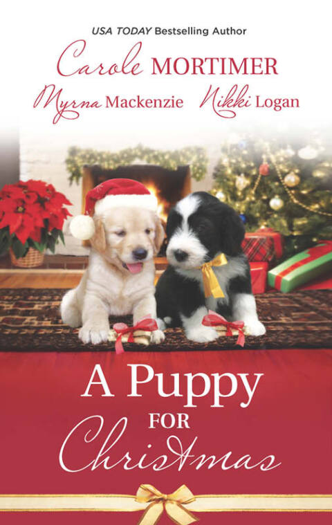 Cover image for book A Puppy for Christmas