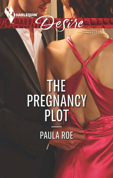 Cover image for book The Pregnancy Plot