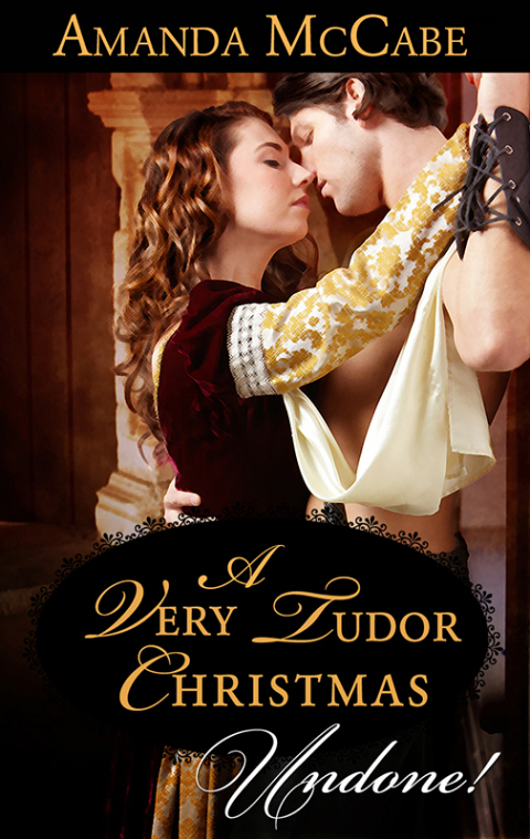Cover image for book A Very Tudor Christmas