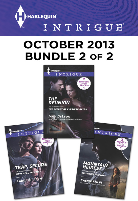 Cover image for book Harlequin Intrigue October 2013 - Bundle 2 of 2