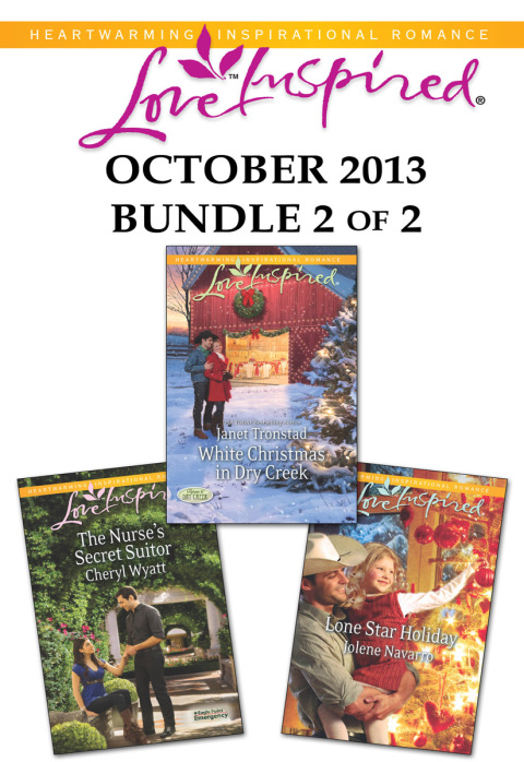 Cover image for book Love Inspired October 2013 - Bundle 2 of 2