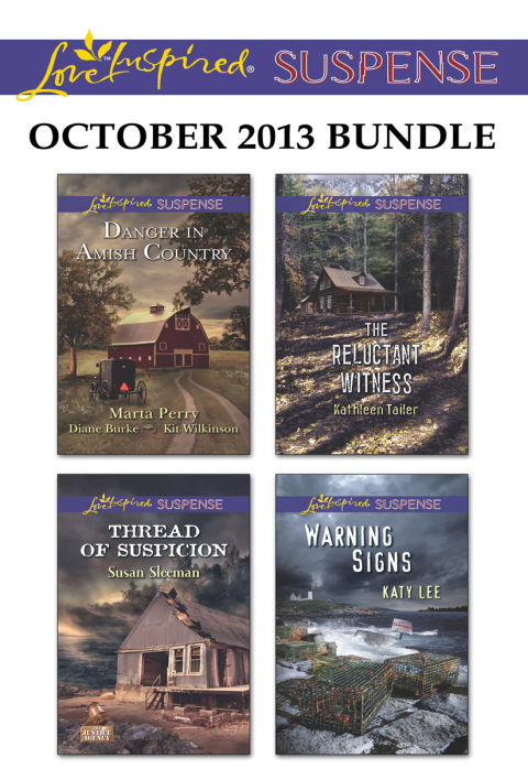 Cover image for book Love Inspired Suspense October 2013 Bundle