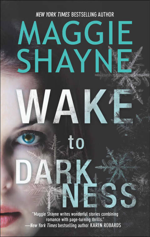 Cover image for book WAKE TO DARKNESS