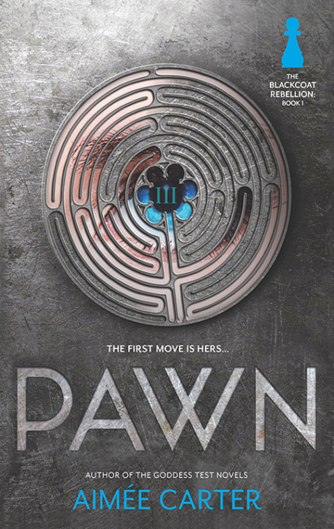 Cover image for book Pawn