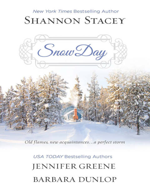 Cover image for book Snow Day