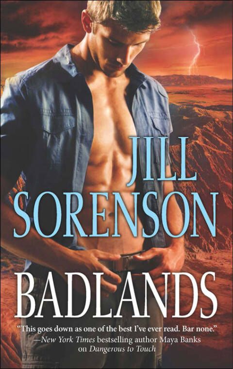 Cover image for book Badlands