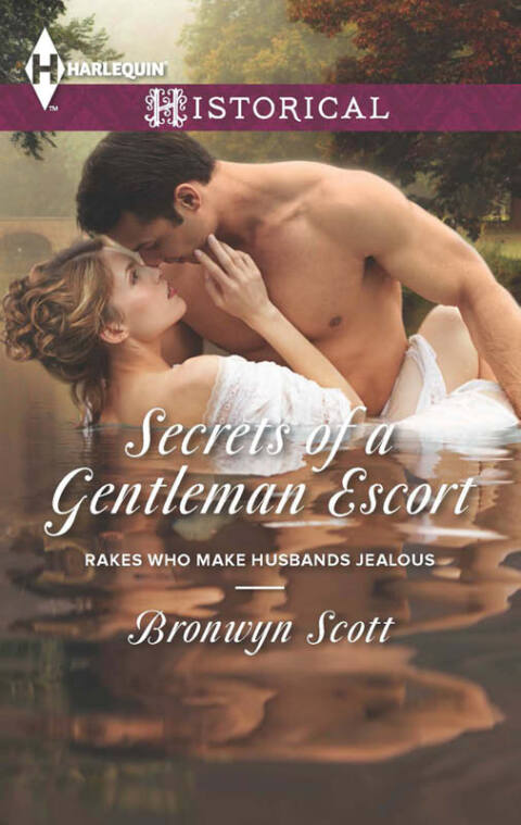 Cover image for book Secrets of a Gentleman Escort