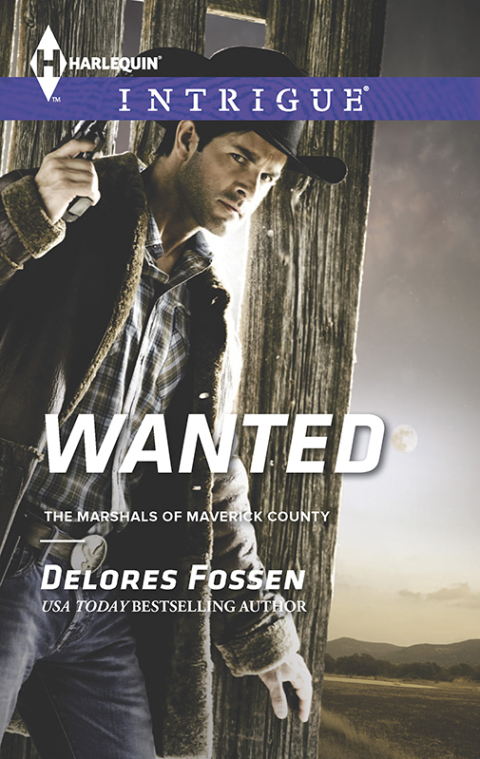 Cover image for book Wanted