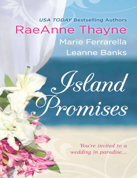Cover image for book Island Promises