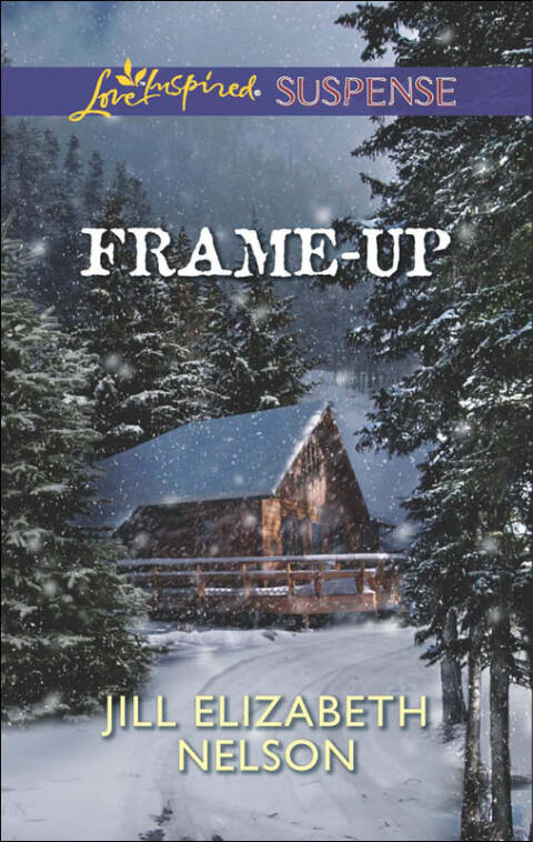Cover image for book Frame-Up