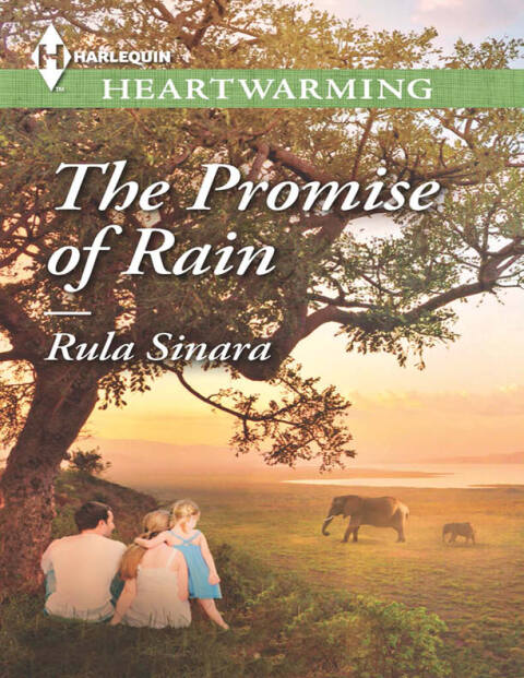 Cover image for book The Promise of Rain