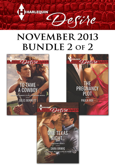 Cover image for book Harlequin Desire November 2013 - Bundle 2 of 2