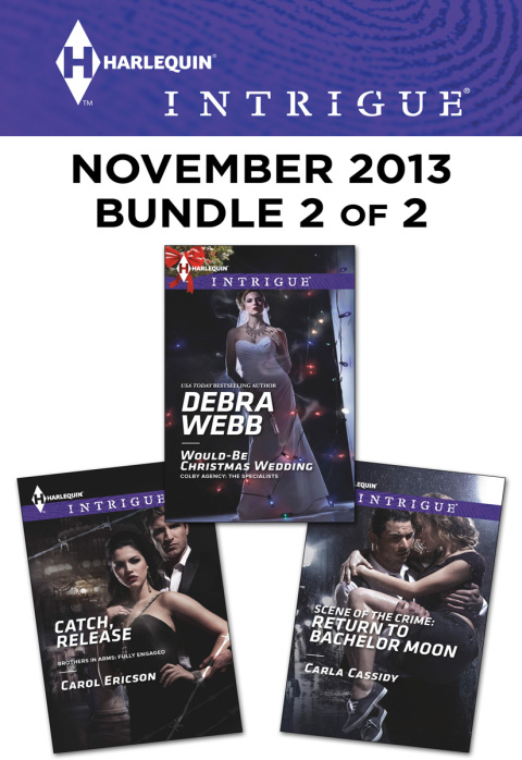 Cover image for book Harlequin Intrigue November 2013 - Bundle 2 of 2