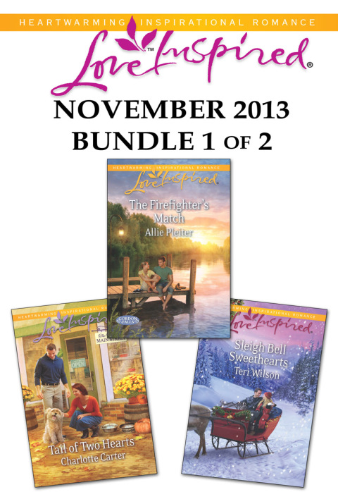 Cover image for book Love Inspired November 2013 - Bundle 1 of 2
