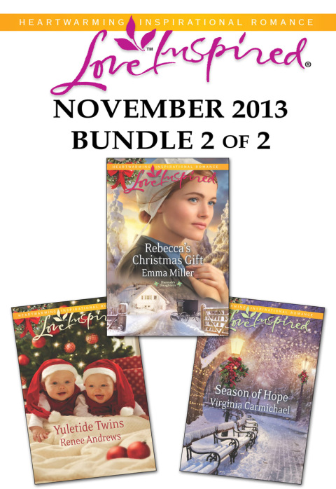 Cover image for book Love Inspired November 2013 - Bundle 2 of 2