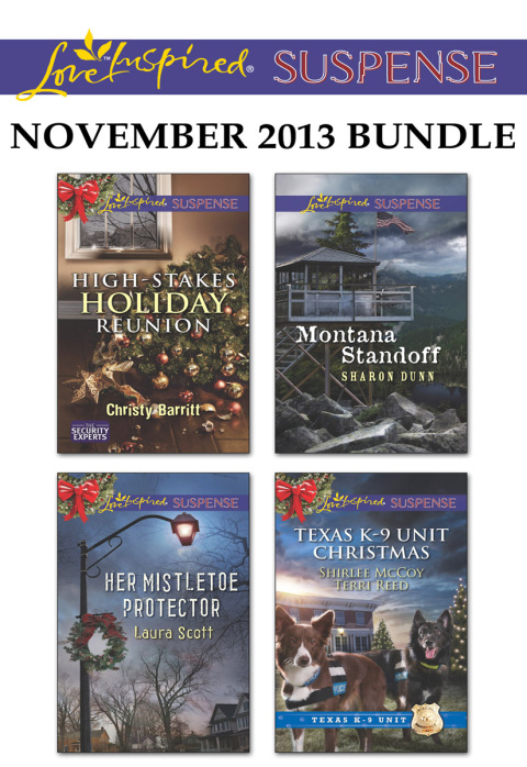 Cover image for book Love Inspired Suspense November 2013 Bundle