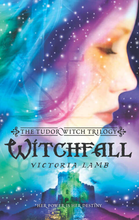 Cover image for book Witchfall
