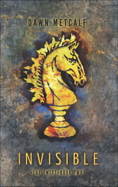 Cover image for book Invisible
