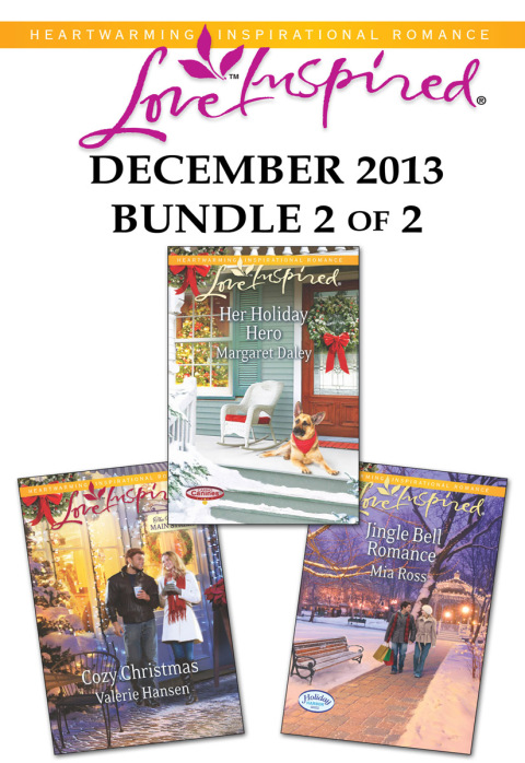 Cover image for book Love Inspired December 2013 - Bundle 2 of 2