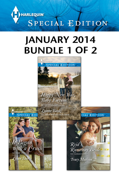 Cover image for book Harlequin Special Edition January 2014 - Bundle 1 of 2