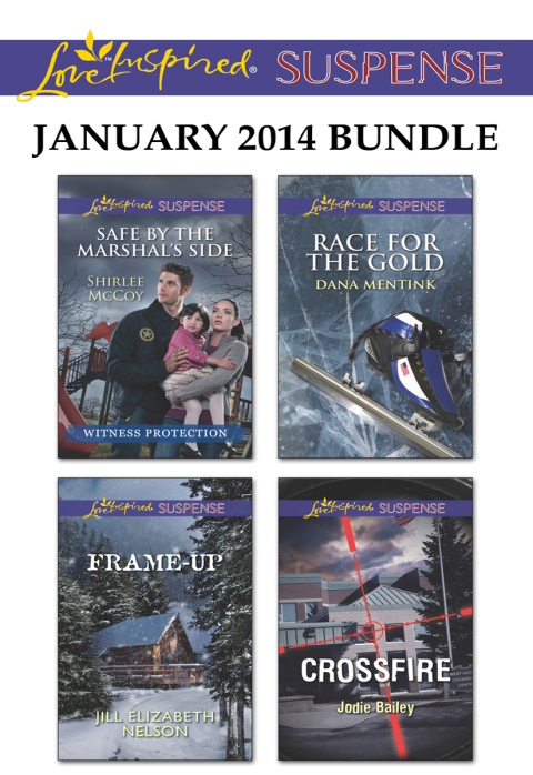 Cover image for book Love Inspired Suspense January 2014 Bundle