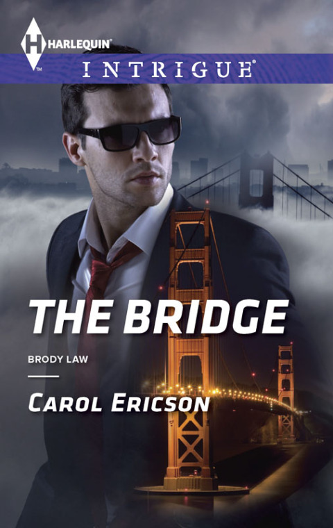 Cover image for book The Bridge