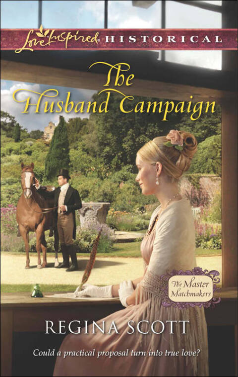 Cover image for book The Husband Campaign